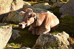 293: DSC_1997