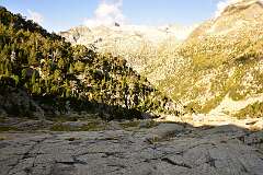 295: DSC_1999