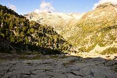 296: DSC_2000