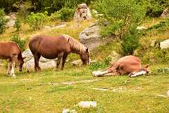 319: DSC_2025