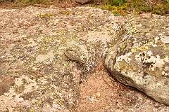 327: DSC_2033