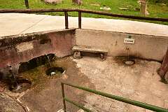 334: DSC_2044
