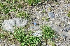 380: DSC_2117