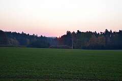 5: DSC_2159