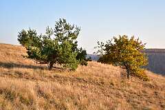 28: DSC_2184