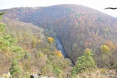 56: DSC_2224