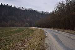 17: DSC_2698