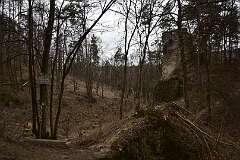 25: DSC_2706