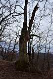 57: DSC_2743