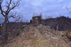 61: DSC_2747