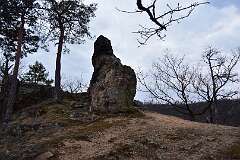 62: DSC_2748