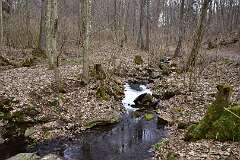 73: DSC_2769