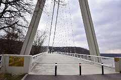 82: DSC_2781