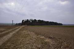 104: DSC_2817