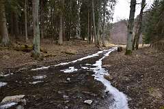 108: DSC_2821
