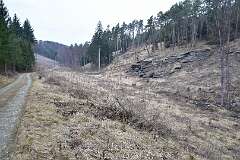 111: DSC_2824
