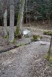 119: DSC_2836