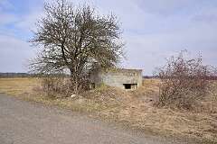 125: DSC_2846