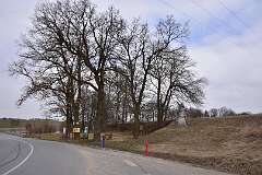 126: DSC_2847