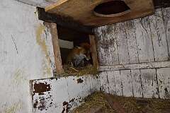 143: DSC_2872