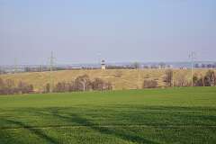 38: DSC_2909