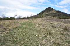 27: DSC_2966