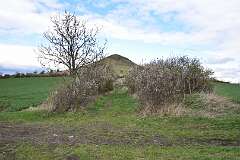 33: DSC_2972