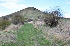 35: DSC_2975