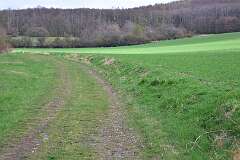74: DSC_3028
