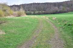 75: DSC_3029