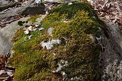85: DSC_3044