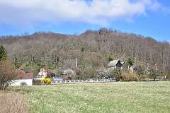 98: DSC_3075