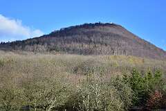 115: DSC_3108