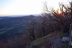 130: DSC_3136