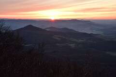 142: DSC_3152