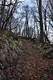 157: DSC_3175