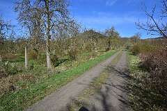 163: DSC_3181