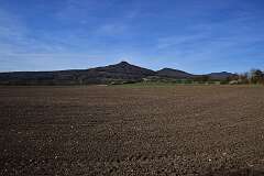 164: DSC_3182