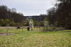 172: DSC_3195