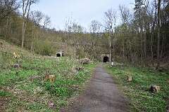 181: DSC_3210