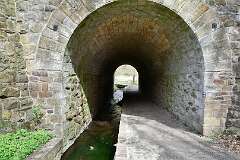182: DSC_3211