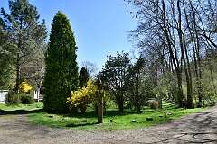 188: DSC_3223