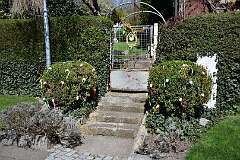 189: DSC_3224