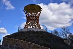 207: DSC_3248