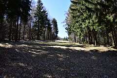 27: DSC_3298