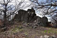 39: DSC_3315