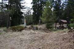 42: DSC_3320