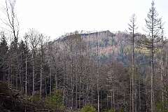 49: DSC_3329