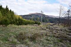 51: DSC_3331
