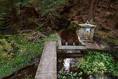 60: DSC_3344